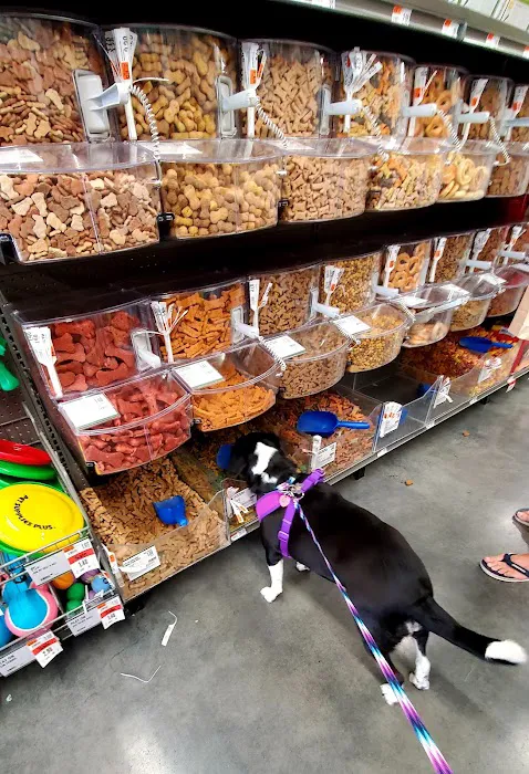 Pet Supplies Plus Manassas Picture 6