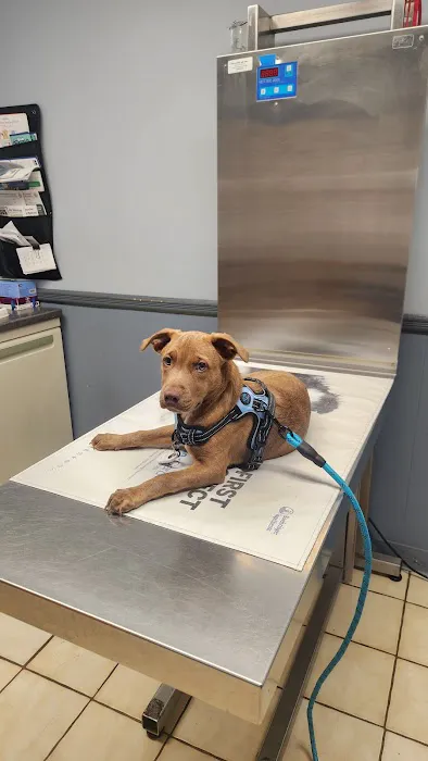 Animal Hospital of Sayreville Picture 1