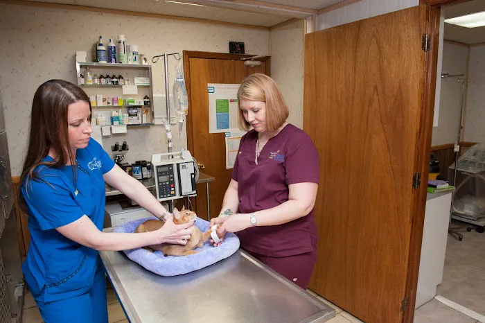 Animal Hospital of Sayreville Picture 6