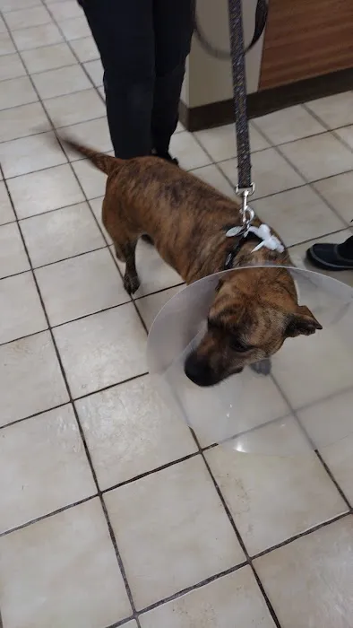 Animal Hospital of Sayreville Picture 9