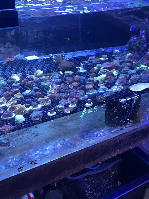 Capital Aquarium Picture 3