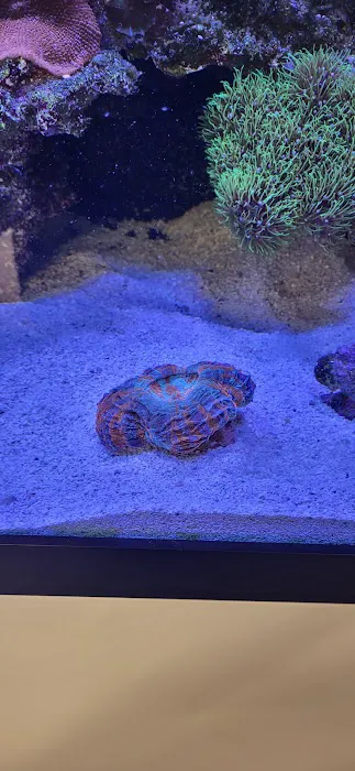Capital Aquarium Picture 7