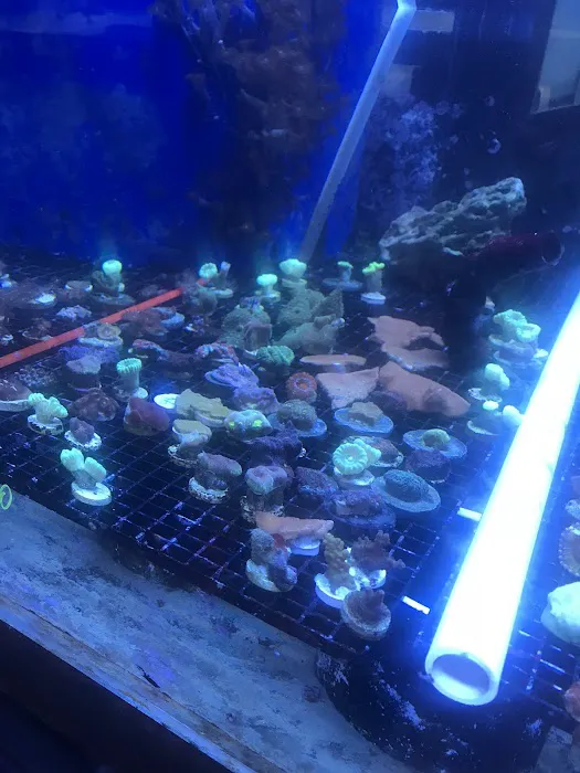 Capital Aquarium Picture 4