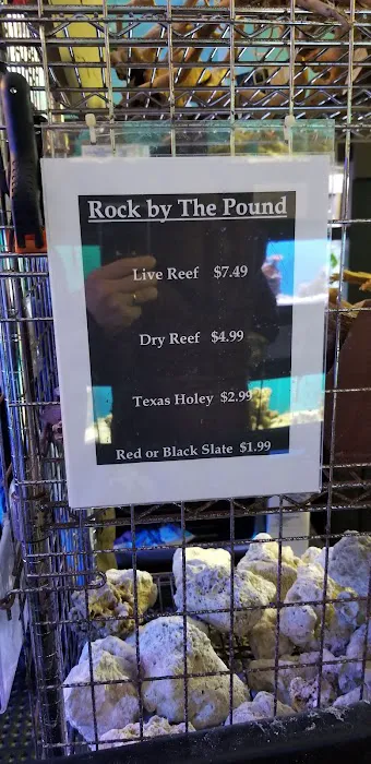Capital Aquarium Picture 5