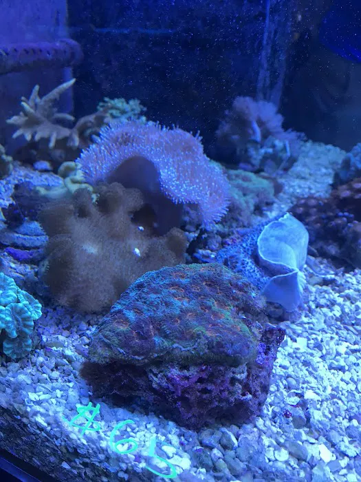 Capital Aquarium Picture 6