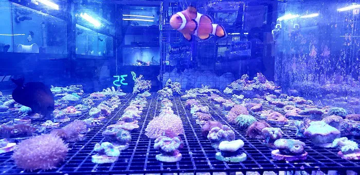 Capital Aquarium Picture 10