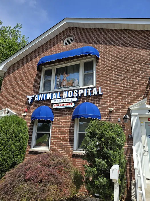 Animal Hospital Of Perth Amboy Picture 3