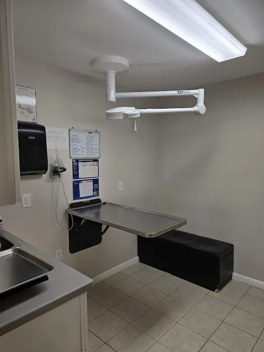 Animal Hospital Of Perth Amboy Picture 6