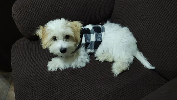 Leesport Animal Hospital Picture 5