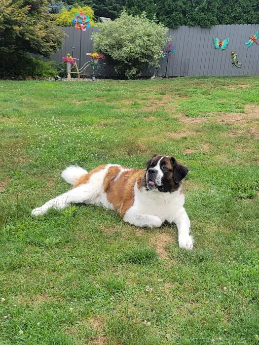 Leesport Animal Hospital Picture 6