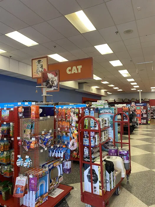 Petco Picture 5