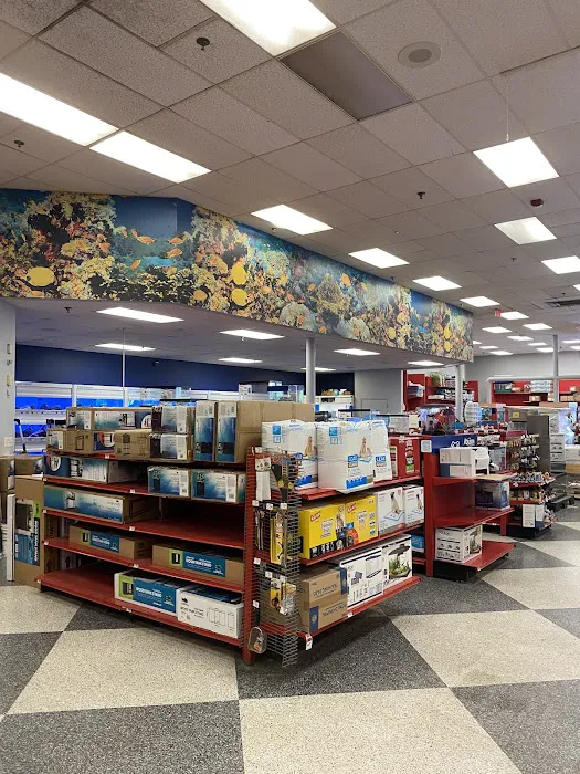 Petco Picture 2