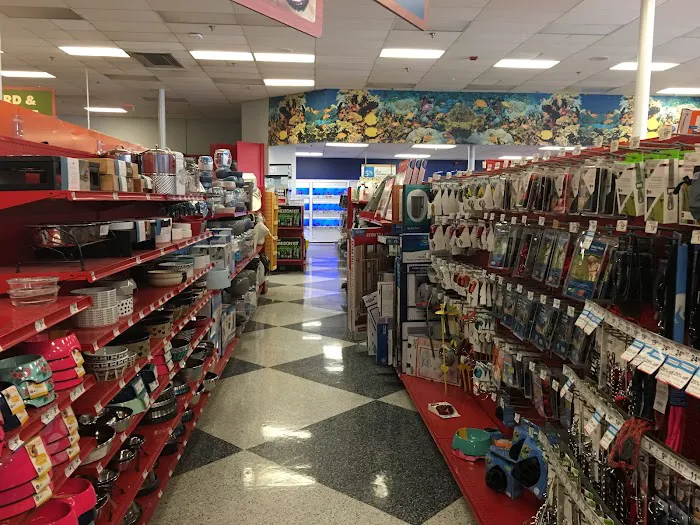 Petco Picture 7