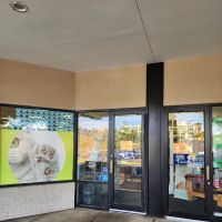 Unleashed by Petco ico