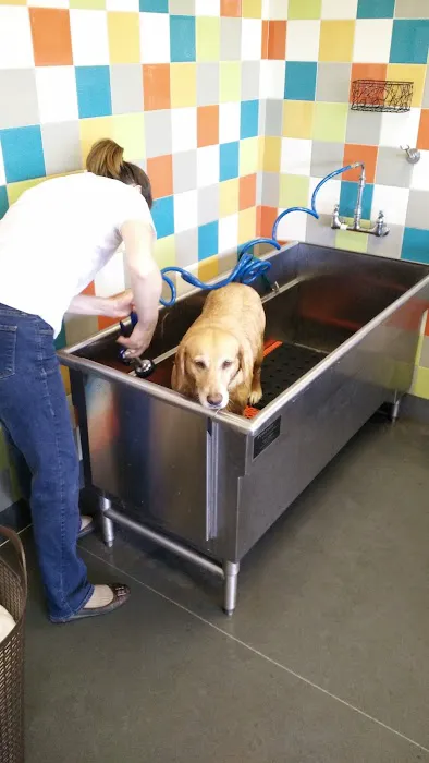 Unleashed by Petco Picture 6