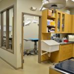Blandon Family Veterinary Practice