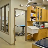 Blandon Family Veterinary Practice ico
