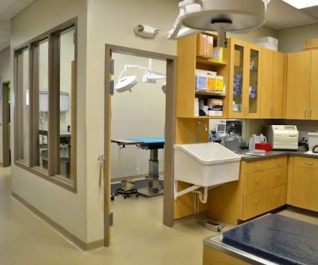 Blandon Family Veterinary Practice