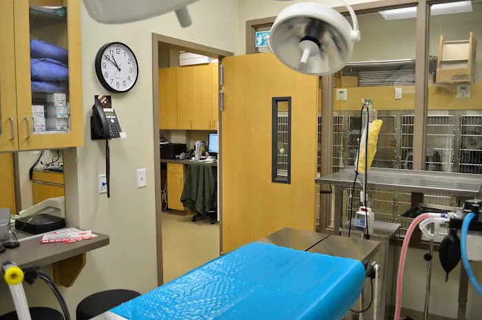 Blandon Family Veterinary Practice Picture 10