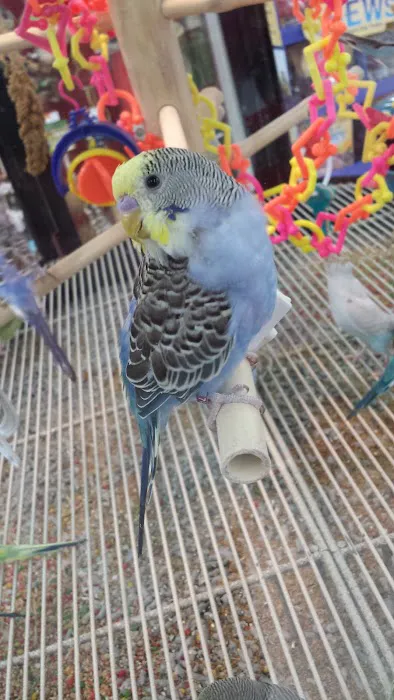 Petco Picture 2
