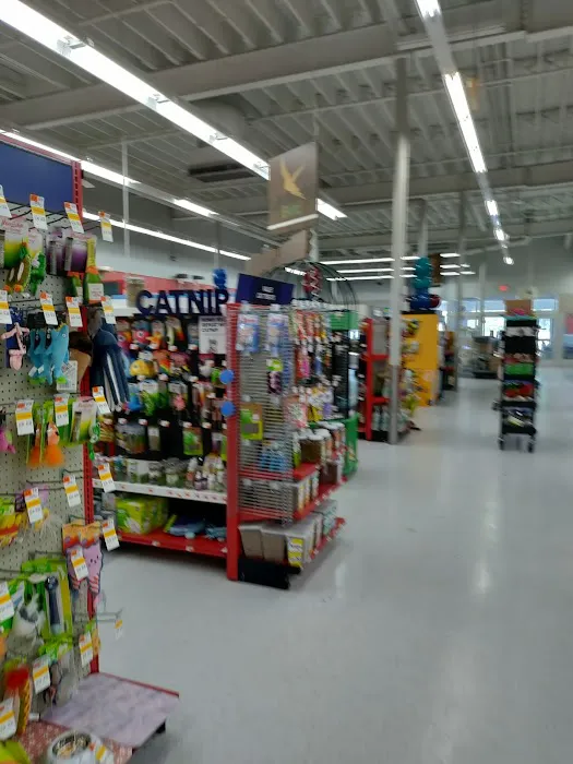 Petco Picture 1