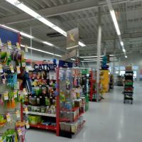 Petco ico