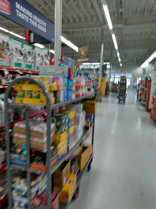 Petco Picture 4