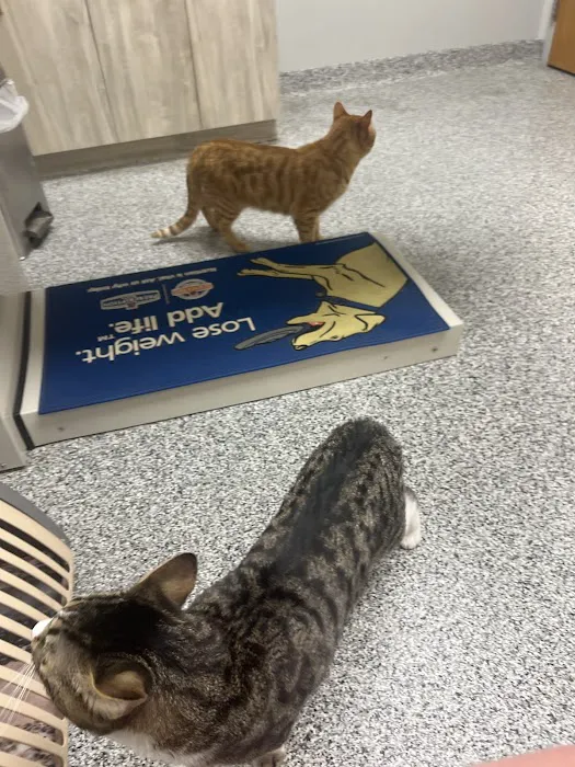 Oley Valley Animal Clinic Picture 10