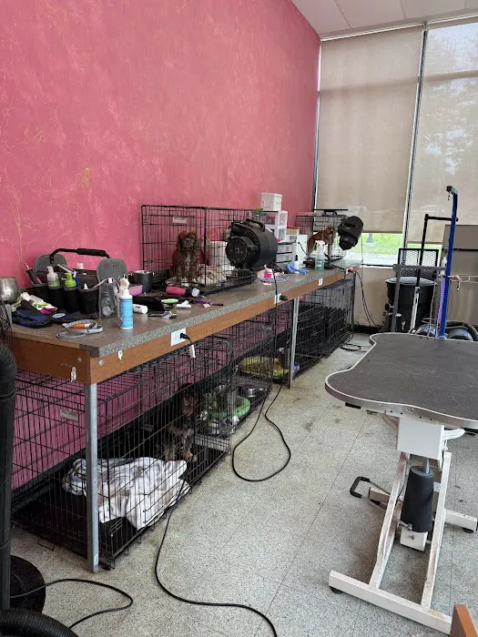 Baer's Pet Center Picture 3