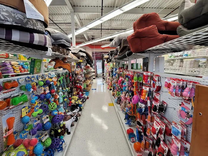 Baer's Pet Center Picture 7