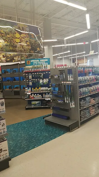 Petco Picture 6