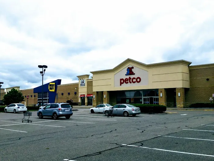 Petco Picture 7