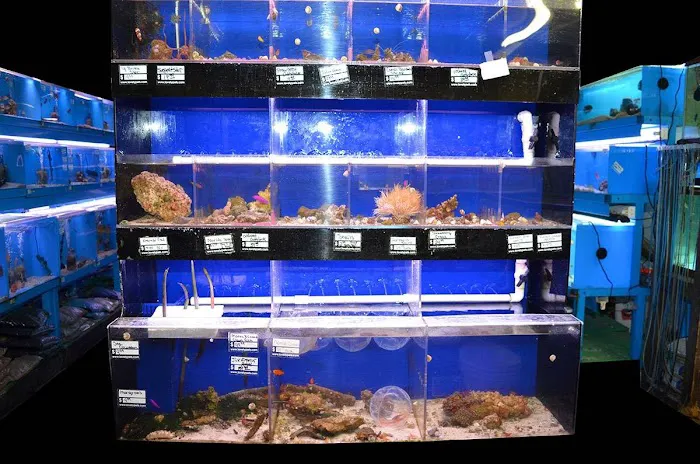 Lovely Pets Aquarium Picture 2