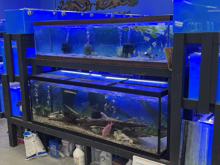 Lovely Pets Aquarium Picture 7