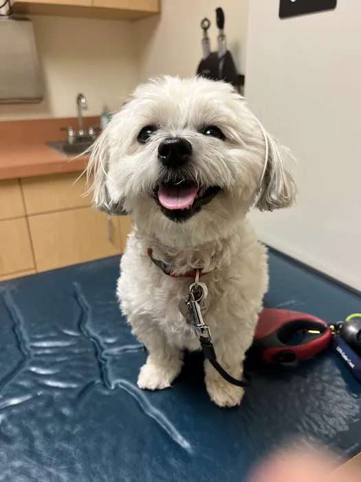 Highland Animal Hospital Picture 2