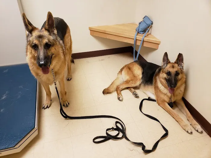 Highland Animal Hospital Picture 6