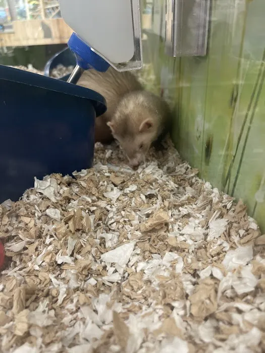 Petco Picture 2