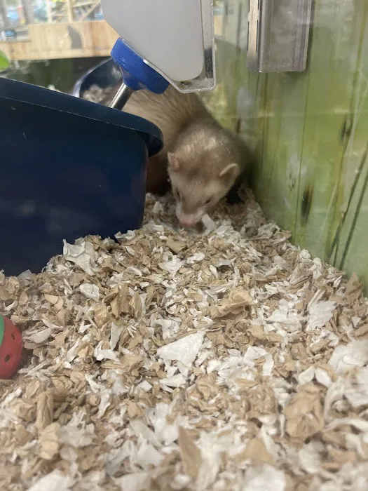 Petco Picture 9