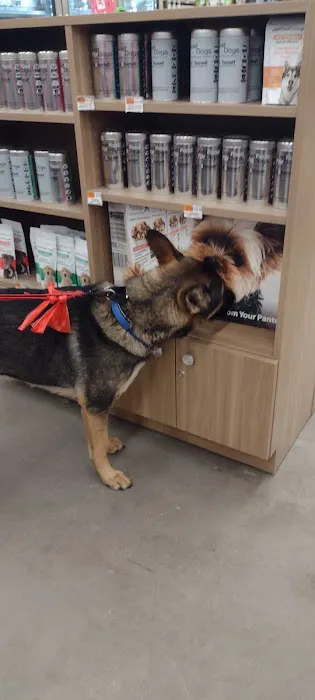 Petco Picture 6