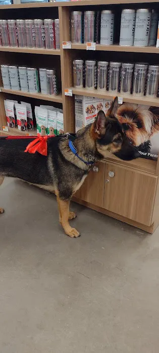 Petco Picture 7