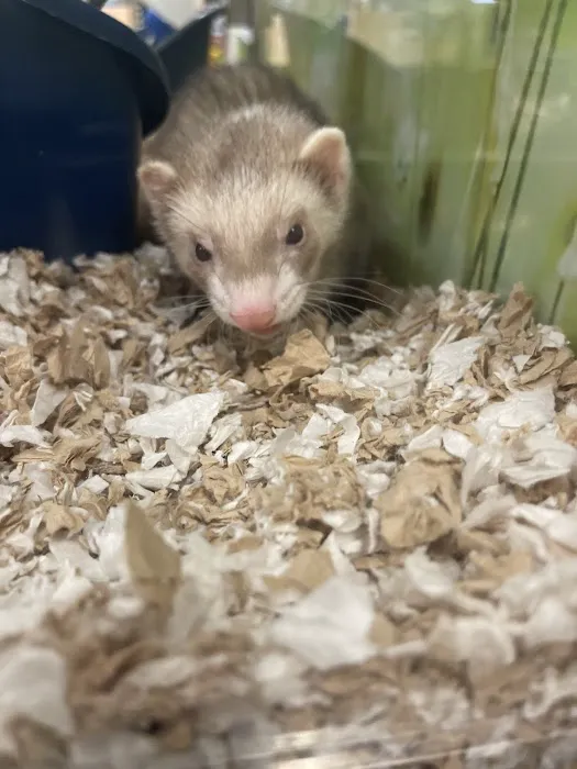 Petco Picture 4
