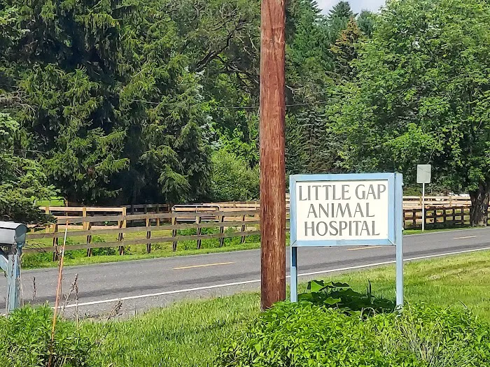 Little Gap Animal Hospital Picture 4
