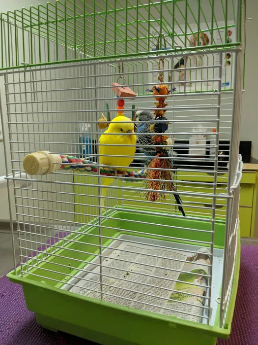 Little Gap Animal Hospital Picture 10