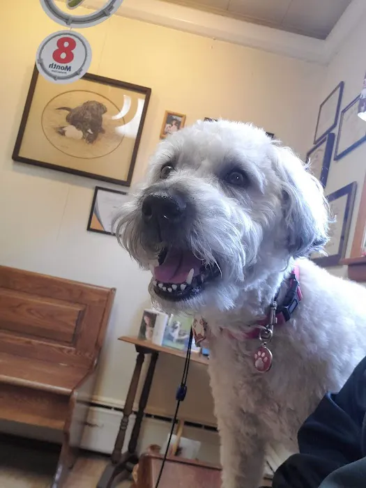Little Gap Animal Hospital Picture 9