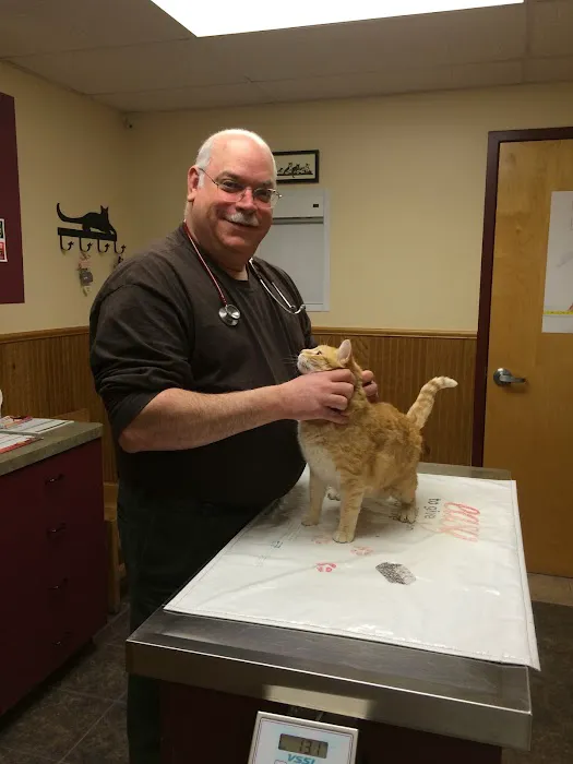 Community Veterinary Practice Picture 7