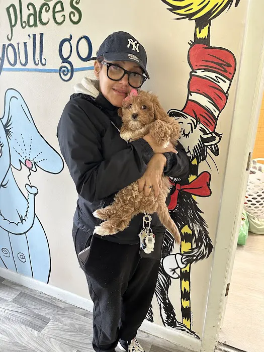 Puppy Boutique Picture 4