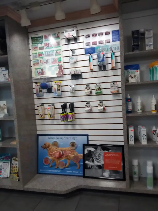 Forest Inn Veterinary Hospital Picture 4