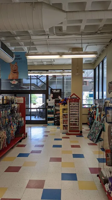 Petco Picture 2