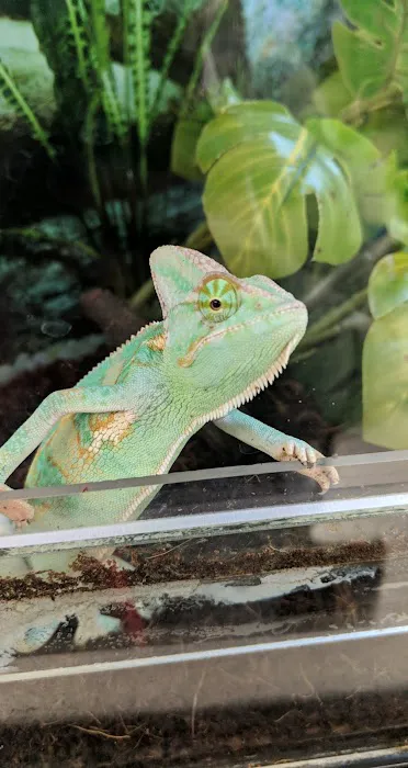 Petco Picture 1
