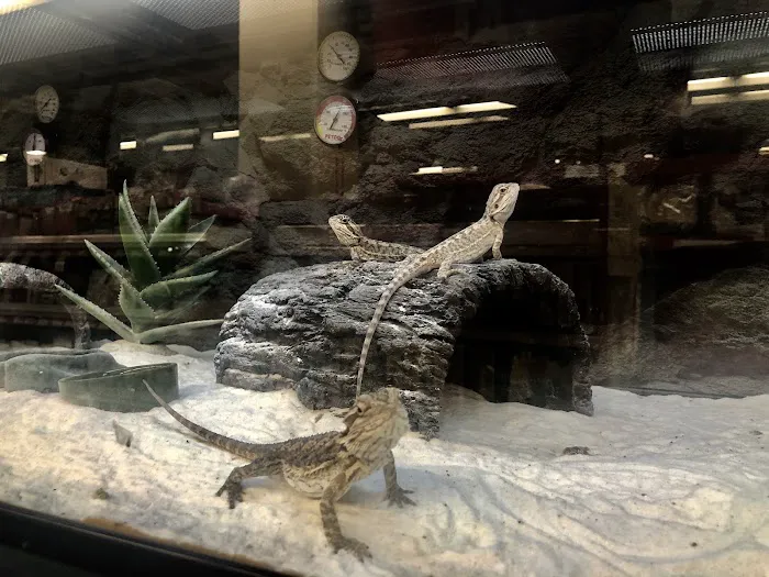Petco Picture 6